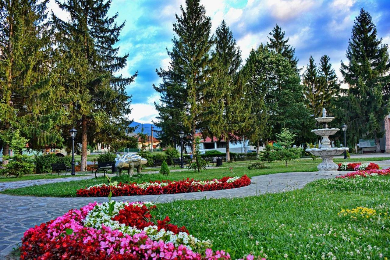 Pensiunea Salas Salasu de Sus Exteriör bild