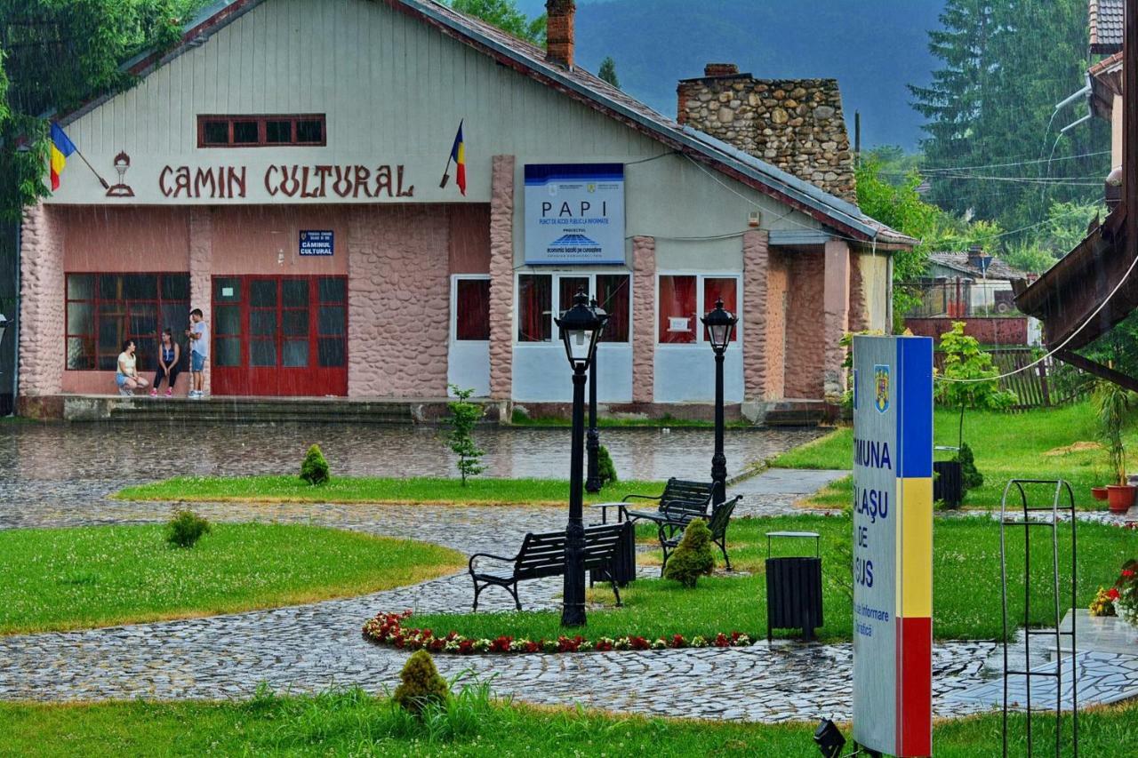 Pensiunea Salas Salasu de Sus Exteriör bild