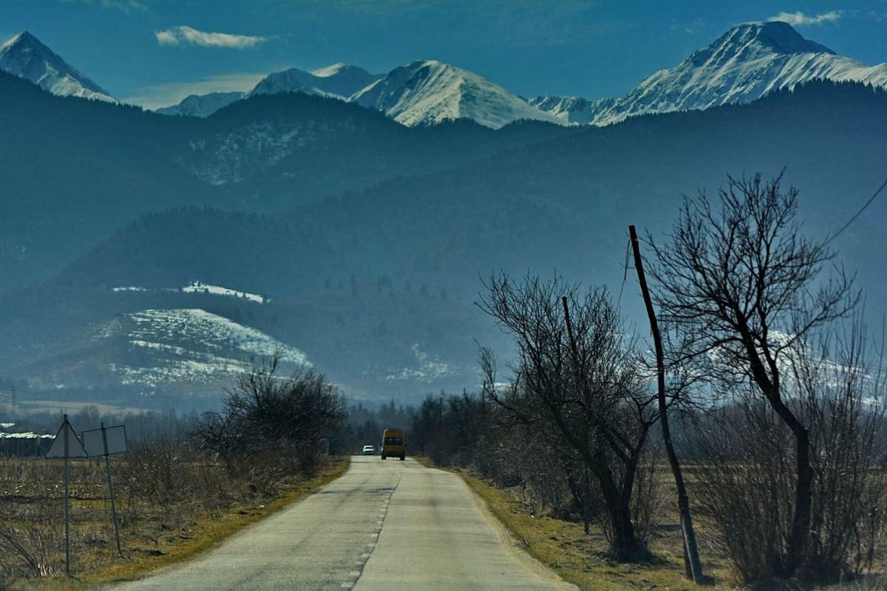 Pensiunea Salas Salasu de Sus Exteriör bild