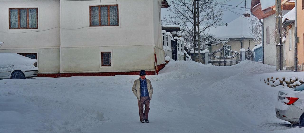 Pensiunea Salas Salasu de Sus Exteriör bild